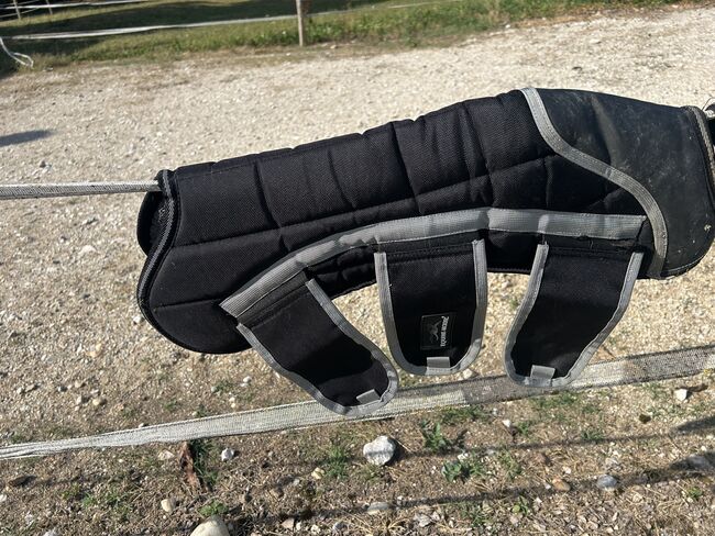 Transportgamaschen, Equine Microtec , Eva Woisetschläger , Sonstiges, Lenzing