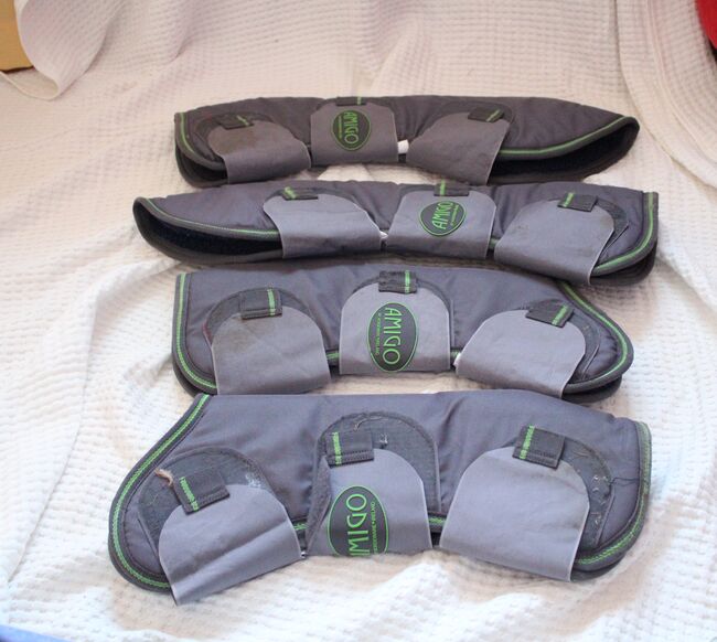 Transportgamaschen Pony, Amigo by Horseware, Anne, Tendon Boots, Achim
