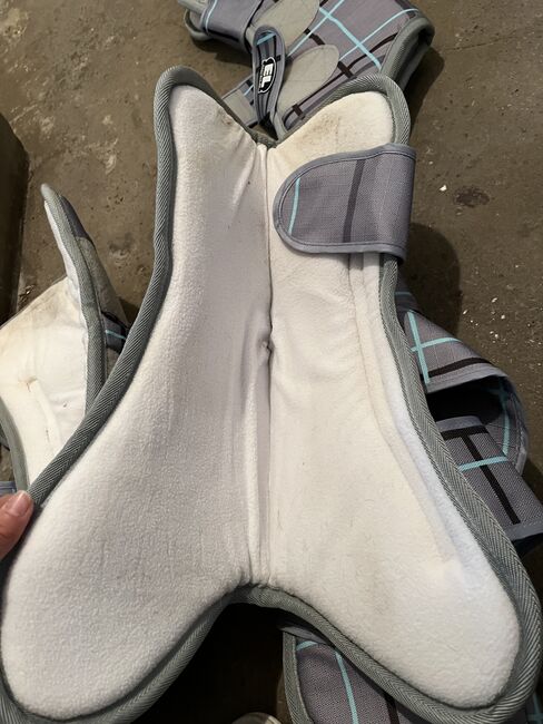 Transportgamaschen Pony, Viviana , Tendon Boots, Quedlinburg , Image 5