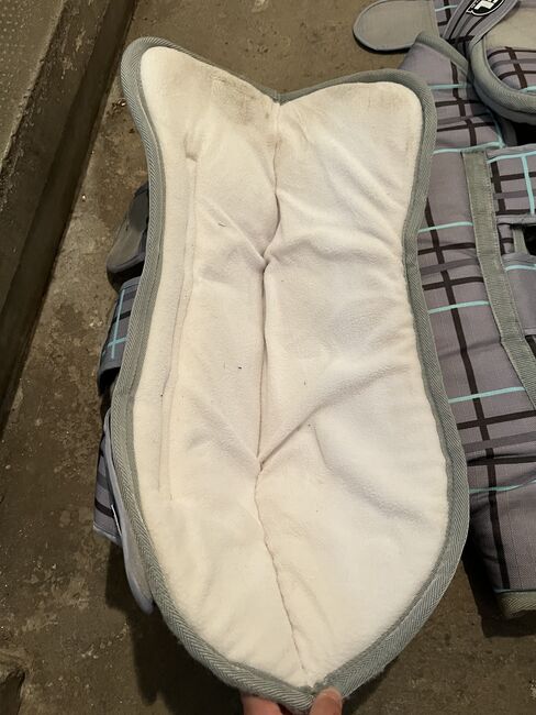 Transportgamaschen Pony, Viviana , Tendon Boots, Quedlinburg , Image 3