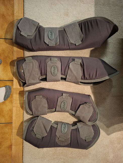 Transportgamaschen WB, Isabell, Tendon Boots, Mannheim