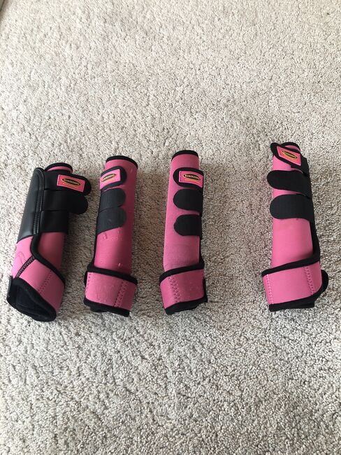 Transportgamaschen Set Pink, Euroriding , Christopher Kaufmann, Tendon Boots, Johannesberg