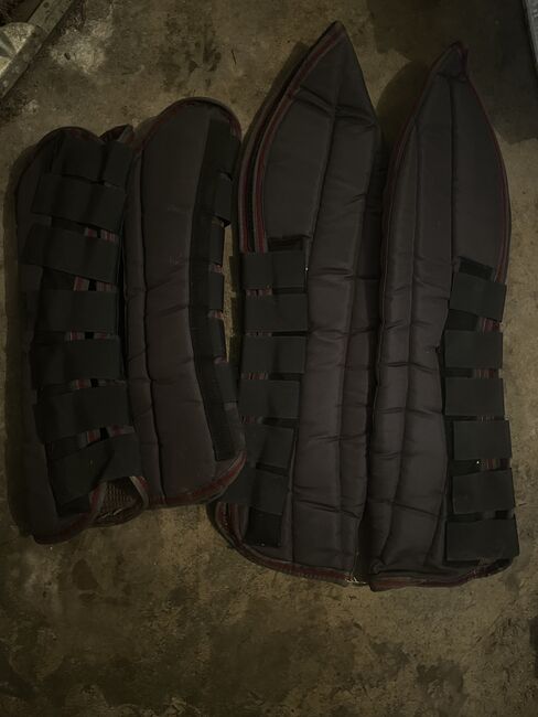 Transportgamaschen Set WB/VB, Leo, Tendon Boots, Ahlen , Image 2