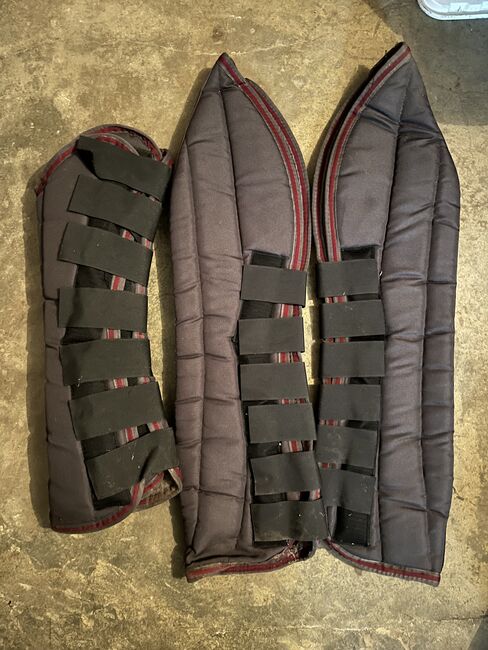 Transportgamaschen Set WB/VB, Leo, Tendon Boots, Ahlen , Image 4