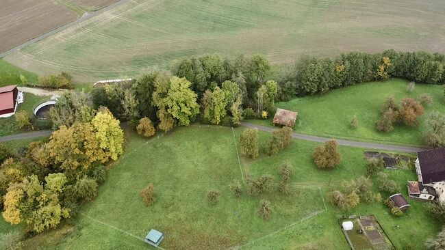 Traumhaftes Reitanwesen in idyllischer Lage nahe der Schweizer Grenze, Enders und Partner Immobilien, Claire Findling (Enders und Partner Immobilien), Pferdeimmobilien, Stühlingen, Abbildung 4