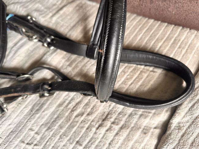 Wanderreittrense, Wanderreithalfter, Solibel, Josy, Bridles & Headstalls, Schafstedt, Image 5