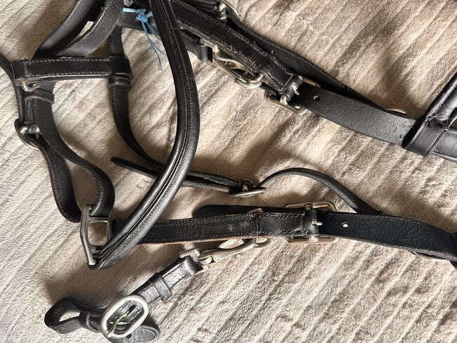 Wanderreittrense, Wanderreithalfter, Solibel, Josy, Bridles & Headstalls, Schafstedt, Image 4