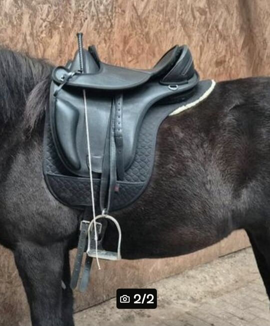 Baumlos Sattel mit Klettkissen, A&M Sheffield , Anja, Treeless Saddle, Steinfurt