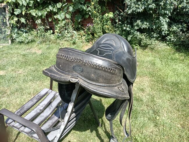 Baumloser Sattel - Markensattel, Familie, Treeless Saddle, Rahden, Image 5
