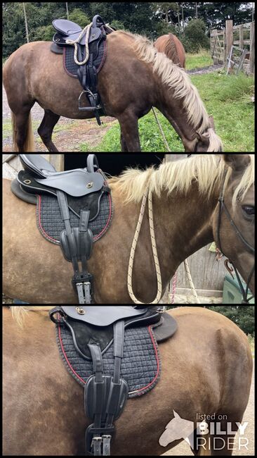 Trekker adjustable saddle, Trekker, San Alden , Other Saddle, Witney , Image 4