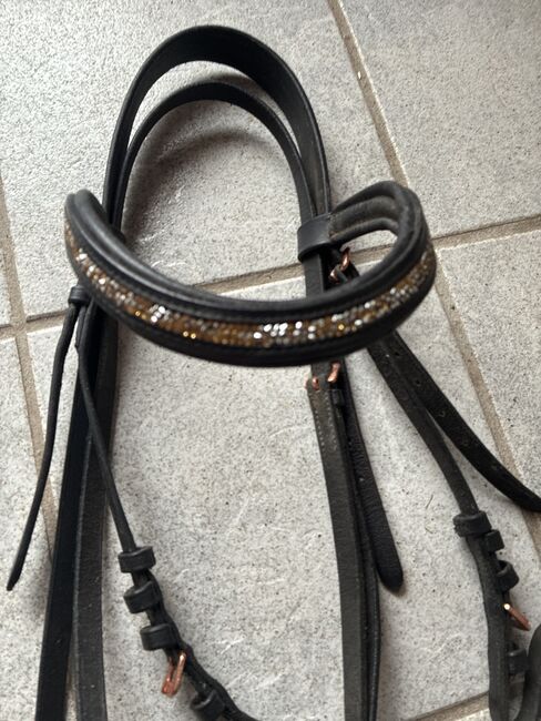 Trense Größe Vb, Krämer, SterniStall, Bridles & Headstalls, Bexbach