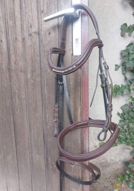 Trense, braun DT Saddlery, abwaschbar, DT Saddlery , Kerstin , Trensen, Mönchengladbach 