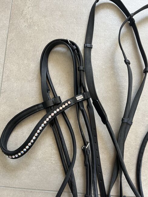 Trense Full, Maria , Bridles & Headstalls, Erkelenz, Image 4