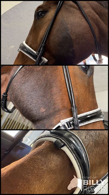 Trense Lack weiß unterlegt mit glitzer, Magic Horse Design  White magic , Nadine, Trensen, Bingen, Abbildung 4