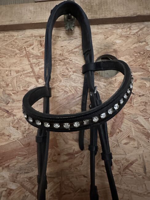 Trense WB, Corina Schäf, Bridles & Headstalls, Oppenweiler , Image 3