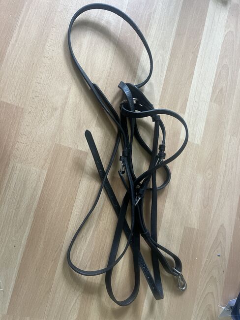 Dreieckszügel, Elisa, Training Aids, Chemnitz