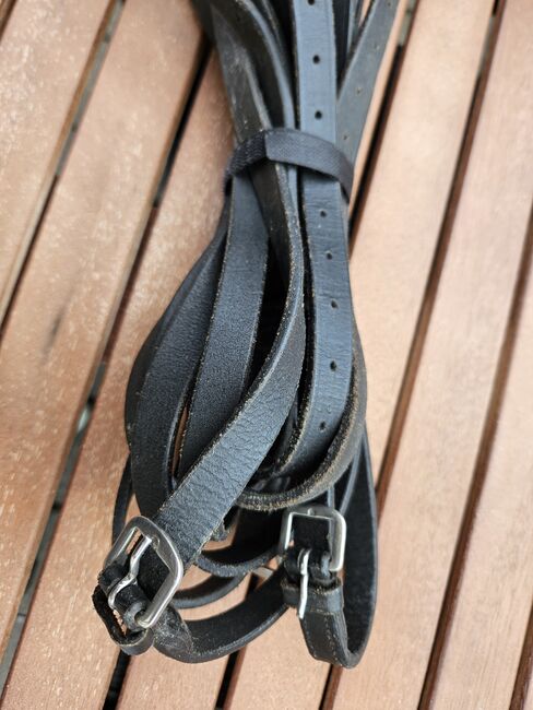 Dreieckszügel, Jutta, Training Aids, Homburg, Image 2