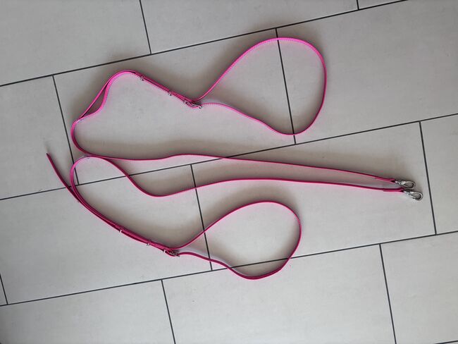 Dreieckszügel in Pink, Katar, Training Aids, Köln 