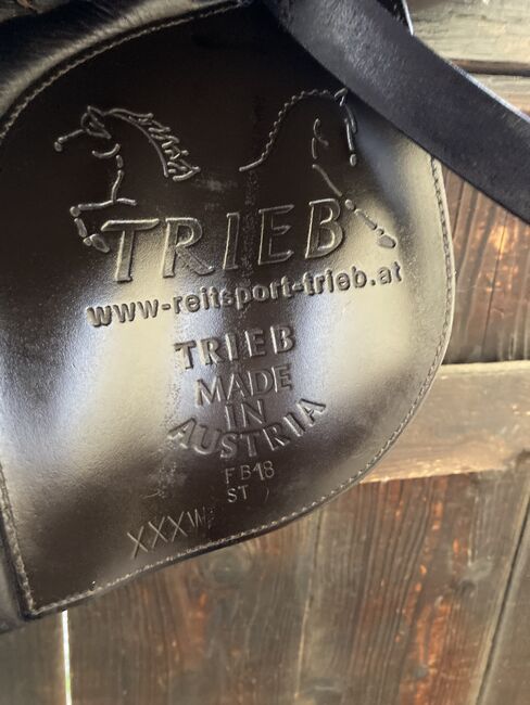 Trieb Islandpferdesattel, Trieb, Sabrina, Icelandic Saddle, Graz, Image 5