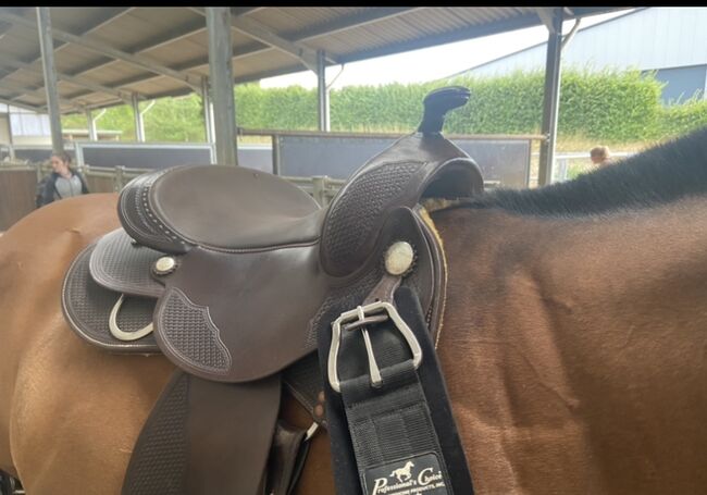 Triple W Westernsattel, Triple W Butterfly Reiner , AnnKathrin Petri, Western Saddle, Remagen 