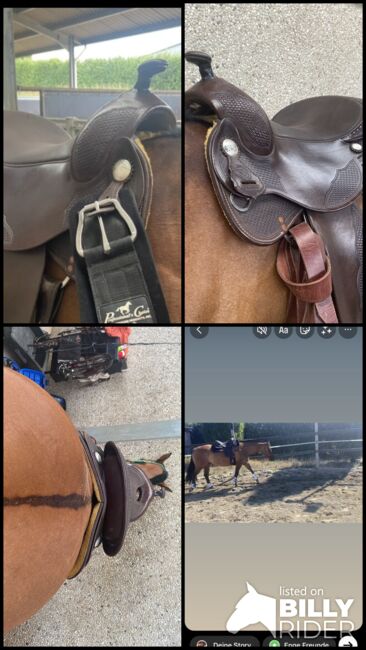 Triple W Westernsattel, Triple W Butterfly Reiner , AnnKathrin Petri, Western Saddle, Remagen , Image 7