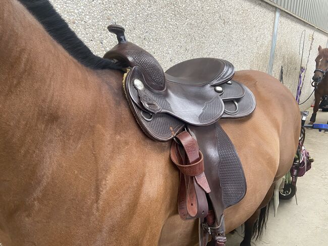 Triple W Westernsattel, Triple W Butterfly Reiner , AnnKathrin Petri, Western Saddle, Remagen , Image 5