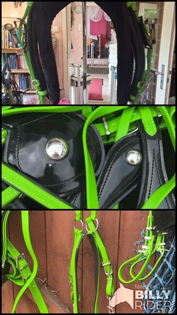 Trabergeschirr/ Quick Hitch /Einspänner, Maxi, Horse Harness, Kalbe/Milde OT Packebusch, Image 4