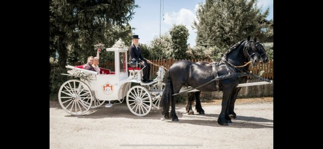 Hochzeitskutsche, Coupé , Adriane Schmedemann Reitschule, Carriages, Schonstett 