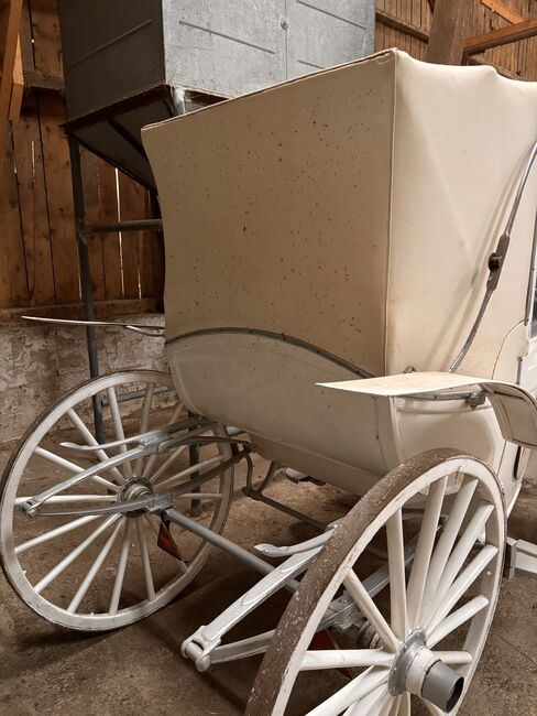 Hochzeitskutsche, Coupé , Adriane Schmedemann Reitschule, Carriages, Schonstett , Image 5