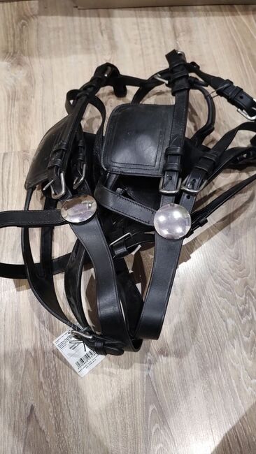 Two horse carriage harness  XFull Neu, Pfiff, Iryna, Other, Järve, Image 6