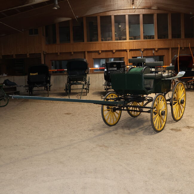 Schwere Wagonette Kutsche E. Wiez Zweispänner Scheibenbremsen, E. Wiez Schwere Wagonette, Niklas Jäger (2ndTrade e.K.), Carriages, Wolnzach
