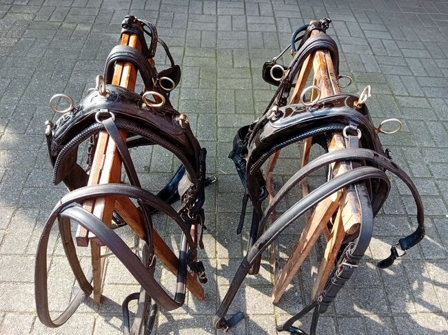 Zweispännergeschirr für Ponys zu verkaufen, Tanja , Horse Harness, Kettenkamp , Image 2