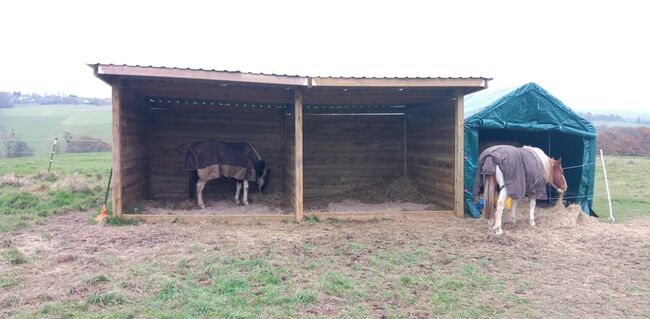 Zwei Monate alter Unterstand, Böhm , Gaby, Horse & Stable Mats, NIEDERKASSEL