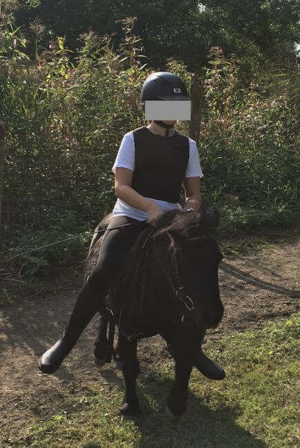 zwei Allrounder Shetty-Stuten suchen Arbeit ;-), Viola Frohwein, Horses For Sale, Neubeuern, Image 8