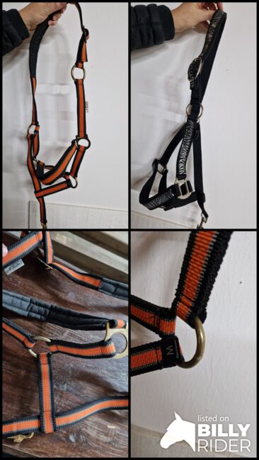 Zwei Halfter, Tatjana , Halters, Saterland , Image 8