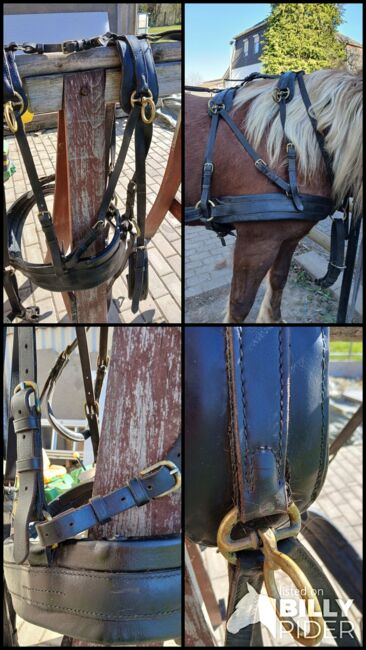 Zweispänner Brustblattgeschirr für kräftige Kaltblüter, Jonas, Horse Harness, Stadtallendorf, Image 10