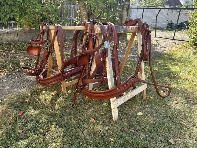 Zweispänner Brustblattgeschirr, Jennifer Böck, Horse Harness, Zellerndorf