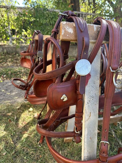 Zweispänner Brustblattgeschirr, Jennifer Böck, Horse Harness, Zellerndorf, Image 2