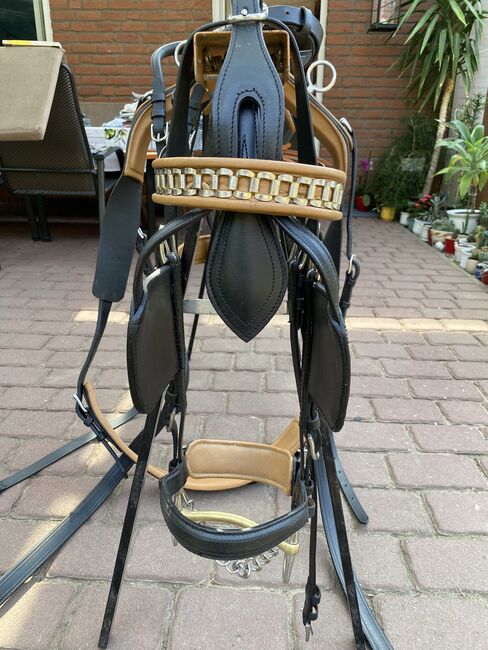 Zweispänner Brustblattgeschirr, Karla Prokop, Horse Harness, Legde/Quitzöbel , Image 6