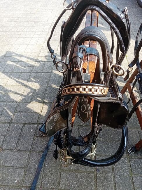 Zweispännergeschirr für Ponys zu verkaufen, Tanja , Horse Harness, Kettenkamp , Image 5