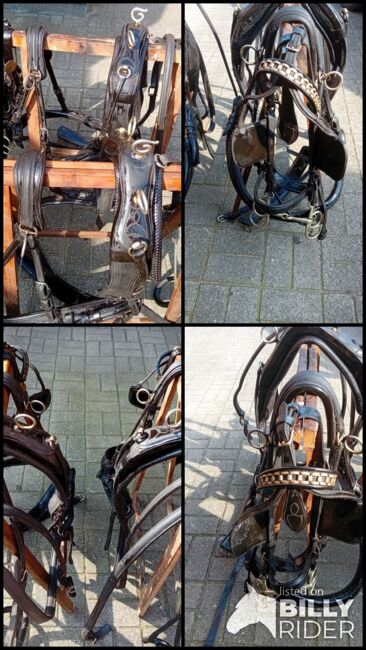 Zweispännergeschirr für Ponys zu verkaufen, Tanja , Horse Harness, Kettenkamp , Image 6