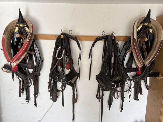 Zwei Haflinger und Kutsche, Ebner Franz, Horses For Sale, Schrattenberg, Image 2