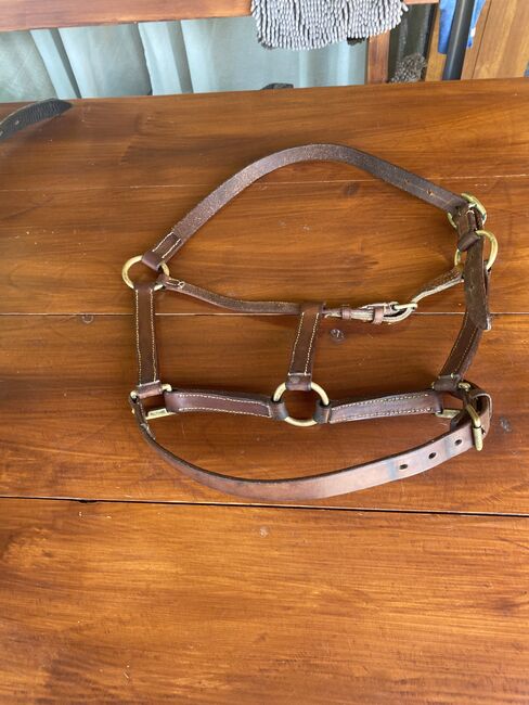 Zwei Halfter, Walter Kampmann , Halters, Oberzent , Image 2