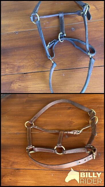 Zwei Halfter, Walter Kampmann , Halters, Oberzent , Image 3