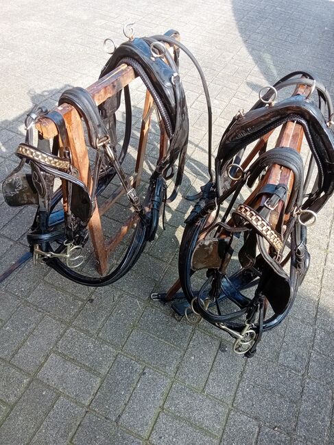 Zweispännergeschirr für Ponys zu verkaufen, Tanja , Horse Harness, Kettenkamp , Image 3