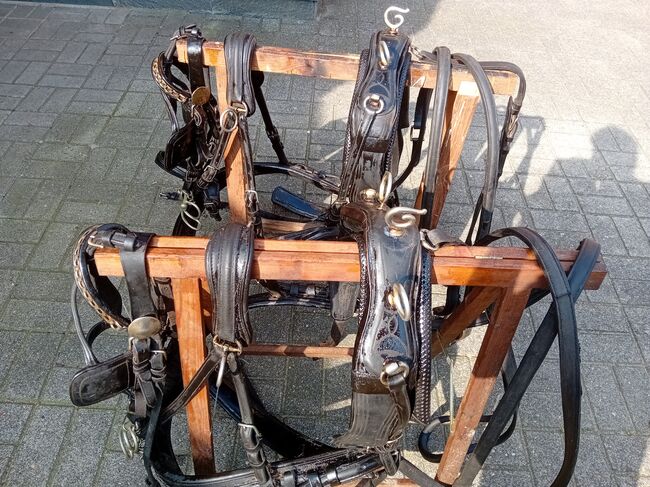 Zweispännergeschirr für Ponys zu verkaufen, Tanja , Horse Harness, Kettenkamp 