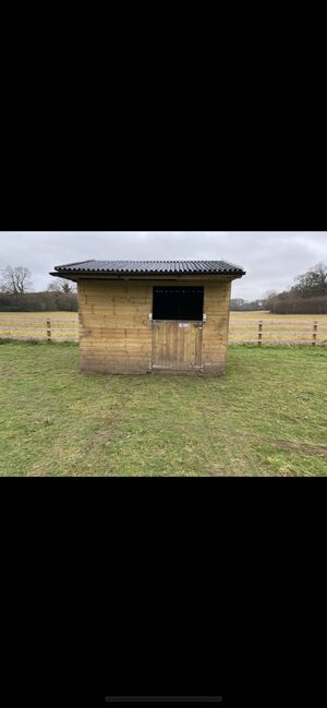 Two stables/field shelters, Louise, Horse Stables, Salisbury 