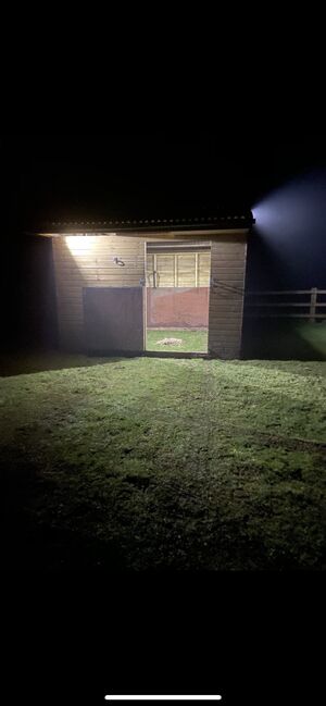 Two stables/field shelters, Louise, Stallplätze, Salisbury , Abbildung 2