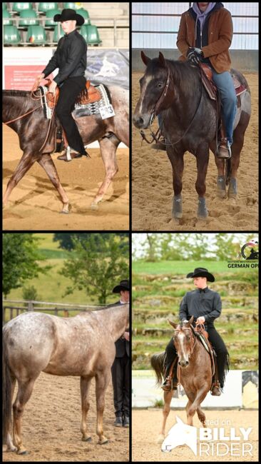 Typvoller, gut gerittener Appaloosawallach, Kerstin Rehbehn (Pferdemarketing Ost), Horses For Sale, Nienburg, Image 5