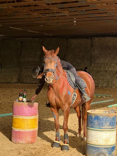 Typvolle fuchsfarbene Stute mit besten Anlagen für Sport, Freizeit und Zucht, Kerstin Rehbehn (Pferdemarketing Ost), Pferd kaufen, Nienburg, Abbildung 3